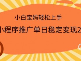 2025小程序推广单日稳定变现多张,一部手机即可操作,小白宝妈轻松上手【揭秘】