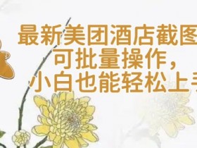 【轻云】最新美团酒店截图,可批量操作,小白也能轻松上手