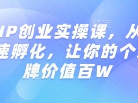 知识IP创业实操课,从0到1快速孵化,让你的个人品牌价值百W