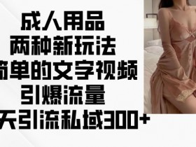 成人用品两种新玩法,简单的文字视频引爆流量,一天引流私域300+
