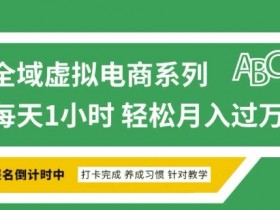 全域虚拟电商变现系列,通过平台出售虚拟电商产品从而获利