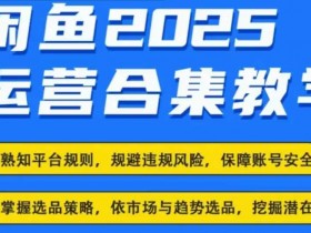 2025闲鱼电商运营全集,2025最新咸鱼玩法