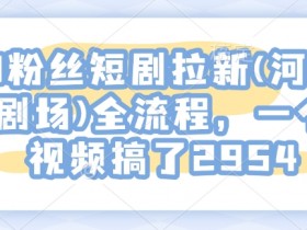 0粉丝短剧拉新(河马剧场)全流程,一个视频搞了2954