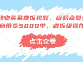 AI动物买菜做饭视频,吸粉点赞无数,橱窗带货5000单,喂饭级操作教程
