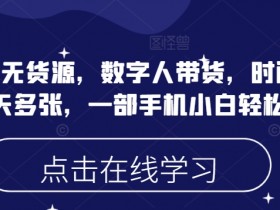 蝴蝶号无货源,数字人带货,时间自由,一天多张,一部手机小白轻松上手