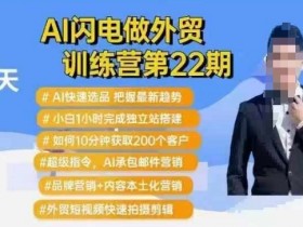 AI闪电做外贸训练营第22期:Al快速选品+小白1小时完成独立站搭建+10分钟获取200个客户等