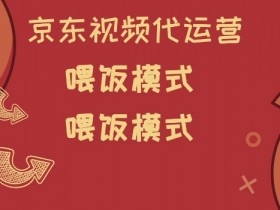 京东短视频代运营,喂饭模式,小白轻松上手【揭秘】