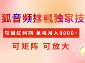 全网首发搜狐音频挂JI独家技术,项目红利期,可矩阵可放大,稳定月入8k【揭秘】