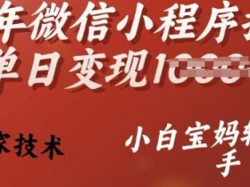 25年微信小程序推广单日变现多张,独家技术,小白宝妈轻松上手【揭秘】