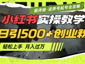 2月小红书最新日引500+创业粉实操教学【超详细】小白轻松上手,月入1W+,附小红书养号起号SOP