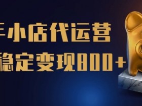 【快手小店代运营】限时托管计划,全程喂饭,单日稳定变现5张【揭秘】