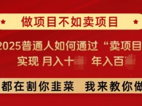 必看,做项目不如卖项目,2025普通人如何通过“卖项目”实现月入十个,年入百个