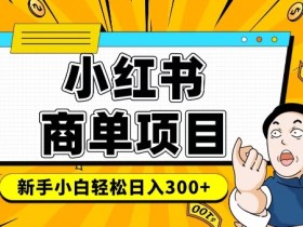 小红书千粉商单,稳定快速变现项目,实现月入6-8k并不是很难