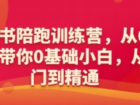 小红书陪跑训练营,从6大维度带你0基础小白,从入门到精通