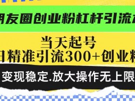 朋友圈创业粉杠杆引流术,当天起号日精准引流300+创业粉,变现稳定,放大操作无上限