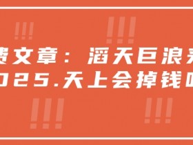 付费文章:滔天巨浪来袭!2025天上会掉钱吗?