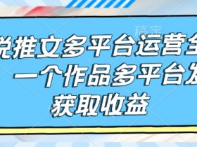 小说推文多平台运营全流程,一个作品多平台发布获取收益