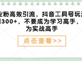 创业粉高效引流,抖音工具号玩法,日引300+,不要成为学习高手,要成为实战高手