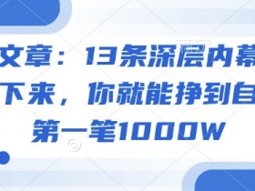 付费文章:13条深层内幕统统背诵下来,你就能挣到自己的第一笔1000W
