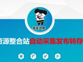 资源整合站自动采集发布转存,解放双手