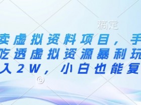 闲鱼卖虚拟资料项目,手把手带你吃透虚拟资源暴利玩法,月入2W,小白也能复制