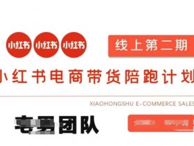 小红书电商带货课2期,月利润20个的小红书电商的有货源,无货源,虚拟产品,付费投流等整套玩法