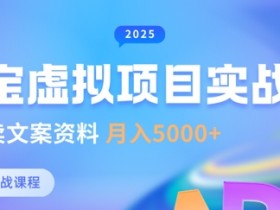 淘宝虚拟项目垂直玩法,新手卖文案资料,月入5k+