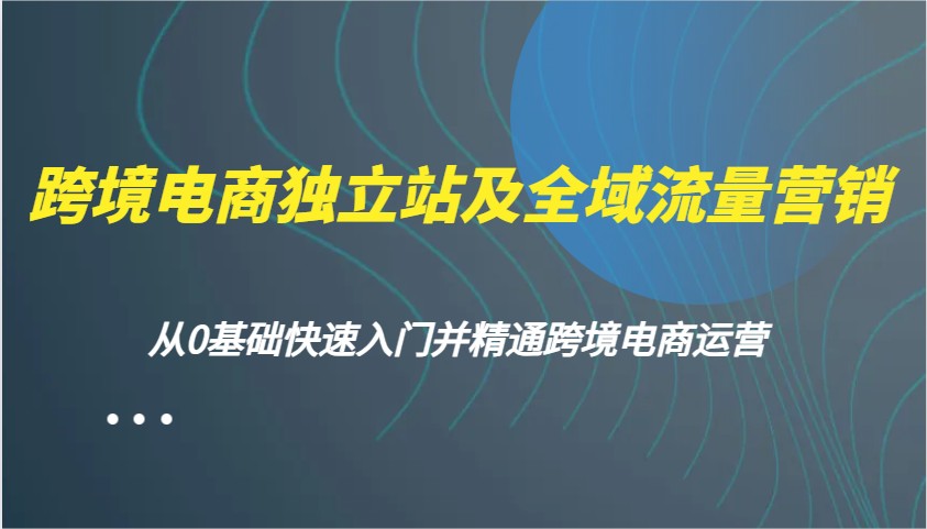 跨境电商电商独立站及全域流量营销推广,从0根本快速上手并熟练跨境电商运营