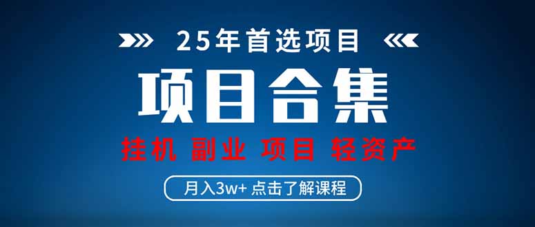 (14175期)2025 实际操作新项目合辑 放置挂机种类 直播类型 轻资产创业种类 课程分享各分部…