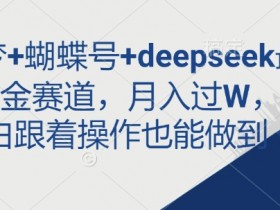 即梦+蝴蝶号+deepseek最新掘金赛道,月入过W,小白跟着操作也能做到