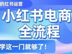 小红书电商全流程,精简易懂,从入门到精通,学这一门就够了