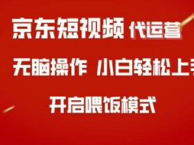 京东短视频代运营,全程喂饭,小白轻松上手【揭秘】