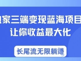 独家三端变现蓝海项目,让你收益最大化,长尾流无限躺挣