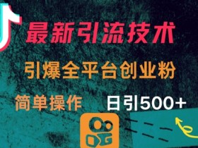最新引流方法,引爆全平台的一个创业粉,简单操作日引300+