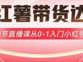 小红薯达人带货启航计划,3节直播课从0-1入门小红书