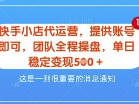 【快手小店代运营3.0】,模式新升级,收益五五分,稳定单日8张【揭秘】