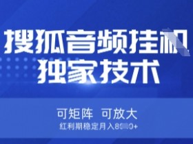 【搜狐音频挂G】独家技术,可矩阵可放大,红利期稳定月入8k【揭秘】