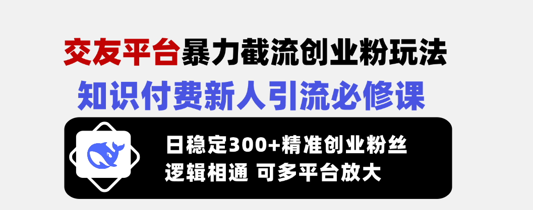 （14432期）交友网站暴力行为截留自主创业粉游戏玩法，社交电商新手引流方法必修课程，日平稳300 精确…