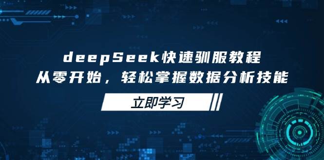 deepSeek迅速收服实例教程，从零开始，快速掌握数据分析技能