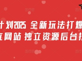 男粉计划2025 全新玩法打爆流量 独立网站 独立资源后台扶持【揭秘】