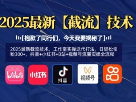 2025最新截流技术,工作室实操迭代打法,日轻松引粉300+,抖音+小红书+B站+视频号流量实操全流程