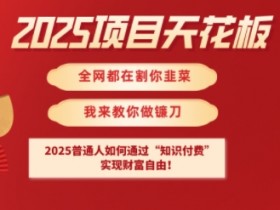 2025项目天花板普通人如何通过知识付费,实现财F自由【揭秘】