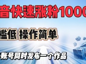 抖音快速涨1000+粉,门槛低操作简单,可多账号同时发布一个作品