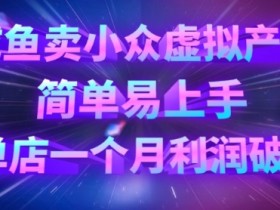 咸鱼卖小众虚拟产品,简单易上手,单店一个月利润破W