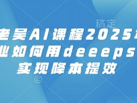 天诺老吴AI课程2025年,电商企业如何用deeepseek实现降本提效