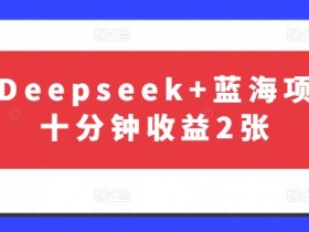 最新Deepseek+蓝海项目,十分钟收益2张