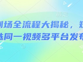 河马剧场全流程大揭秘,短剧爆款精选同一视频多平台发布实操