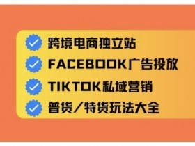 跨境电商独立站及全域流量营销,从0基础快速入门并精通跨境电商运营