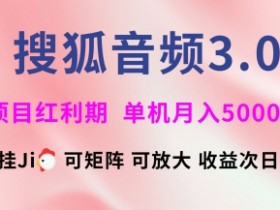 搜狐音频挂ji3.0.可矩阵可放大,独家技术,稳定月入5000+【揭秘】