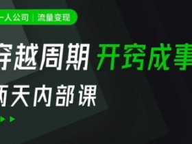 一人公司:流量变现课,一人公司的方法模型拆解, 拆解富人思维,流量思维,小老板思维等